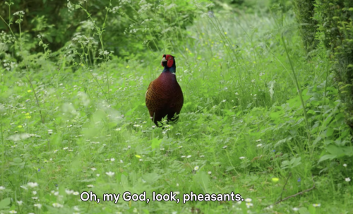 eggpuffs:rahul going from talking about his fears to just noticing birds is such a mood