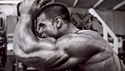 musclejake69:Evan Centopani