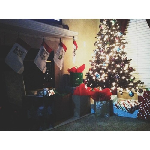 We are ready for Christmas here in Louisville.