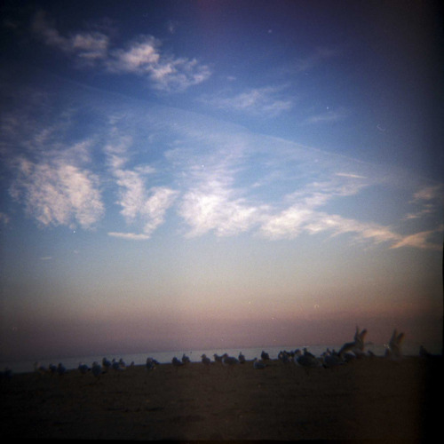 on falling in loveJames Lyonsprospect park / coney island, ny (17th january 2014)original diana, 120