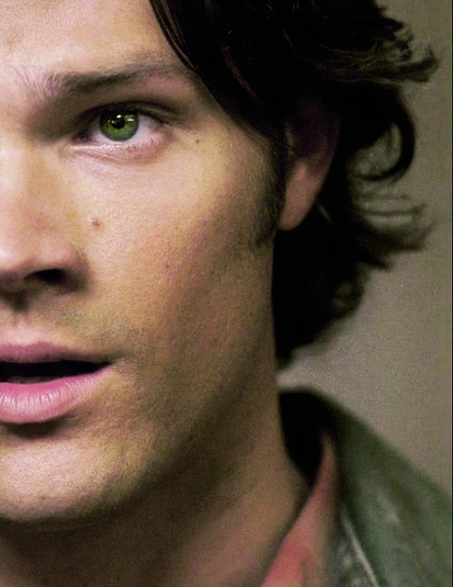 russian-hiddlestoner:Sam Winchester.(1-10)