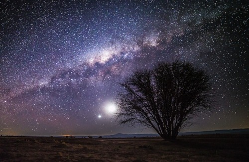 bobbycaputo:Amazing Photos of the Starry Night Sky by Nicholas Buer