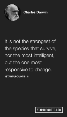 startupquote:  It is not the strongest of