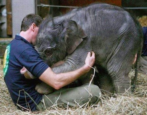 Cute Overload
