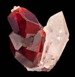 fuckyeahmineralogy:  Spessartine Garnet on Quartz; Haramosh Mts., Gilgit-Baltistan, Northern Areas of Pakistan