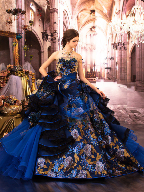 inkxlenses:Royal Ball Gown (Stella de Libero)