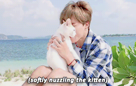 Jimins Love For Animals 
