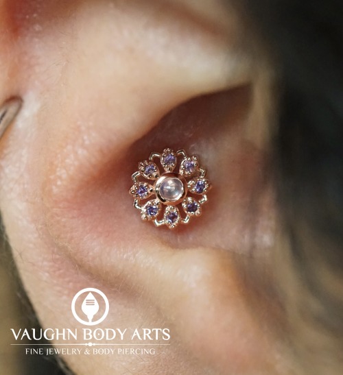  Cody got to do this gorgeous conch piercing for our client Ivonne. Ivonne picked out one of our fav