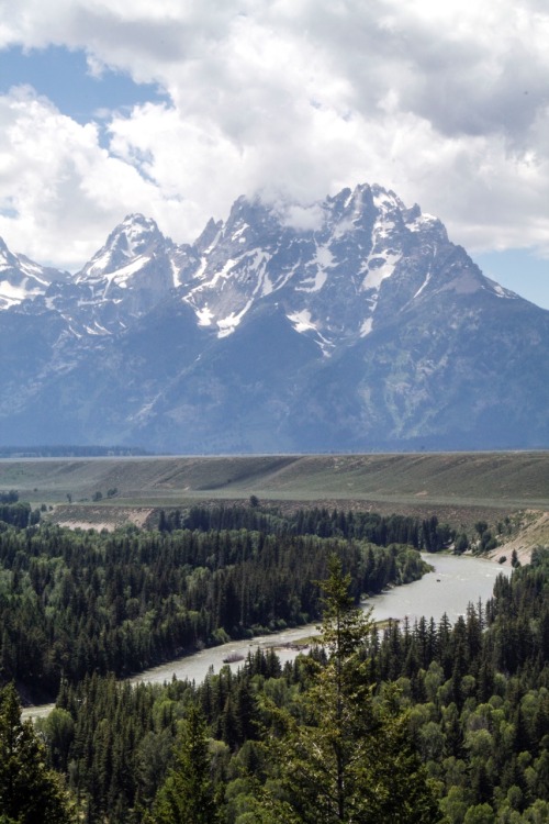 earthstory:crag-n-dale:snakeSnake River in front of the Teton Range, Wyoming