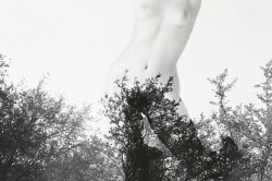  Figure in Trees / Variation by Robert Heinecken,