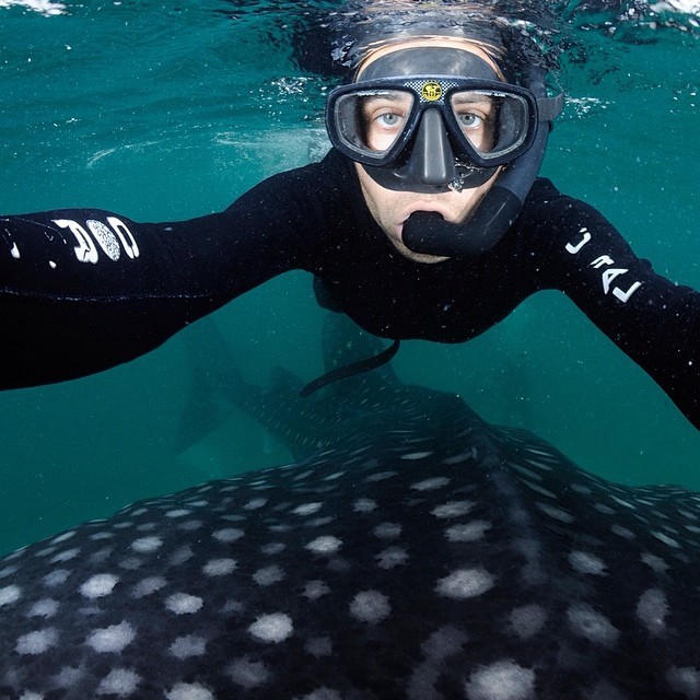 coffeentrees:  Photo by @thomaspeschak “Whale Shark Selfie” I took this picture