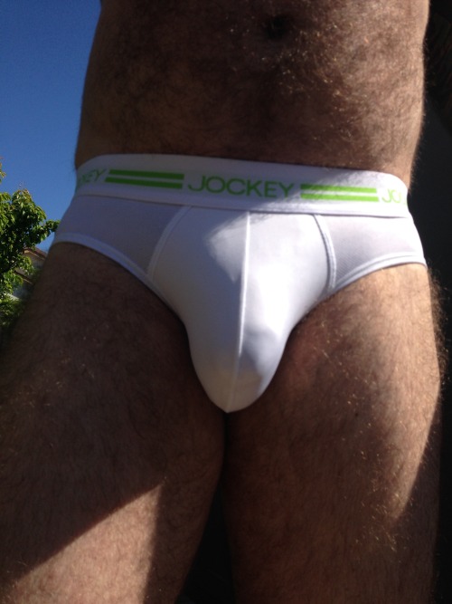 Porn pupsunderwearpics:  Pup in Jockey Sport Briefs photos