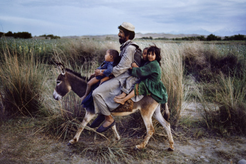 nubbsgalore:  happy father’s day. photos by (click pic) biswaranjan rout, india; anja niedringhaus, afghansitan; zohra bensemra, pakistan; tony karumba, somalia; navesh chitrakar, nepal; mohammadreza momeni in iran; pedro ugart, afghan refugee camp