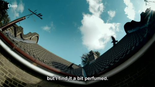 [ID: Four screencaps from Taskmaster, looking up at the blue sky and birds flapping around on the ro