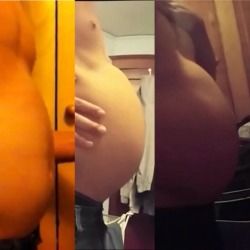 hotblly:  Evolution of BestBellyAround 