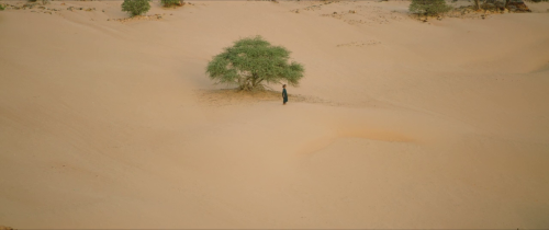 certifiedcopy:Timbuktu (2014, Abderrahmane Sissako)