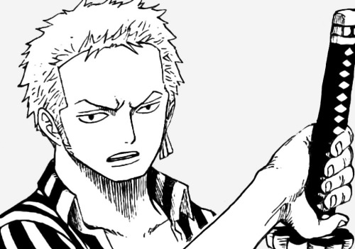 mugiwara-no-ichimii:  Help I can’t stop capping Zoro