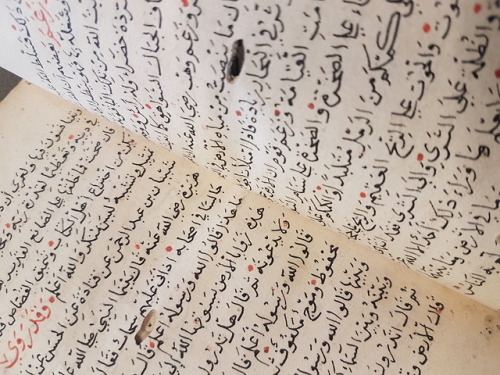 LJS 495 -[Kharīdat al-ʻajāʼib wa farīḍat al-gharāʼib]This beautiful manuscript is a cosmography