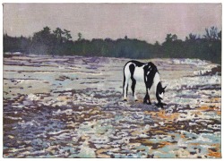 thunderstruck9:  Peter Doig (British, b. 1959), Pinto, 2000. Oil on linen, 49.5 x 69 cm.