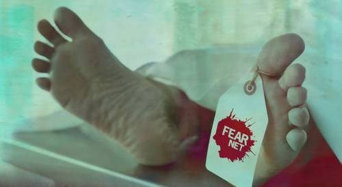 fearnet fearnet
