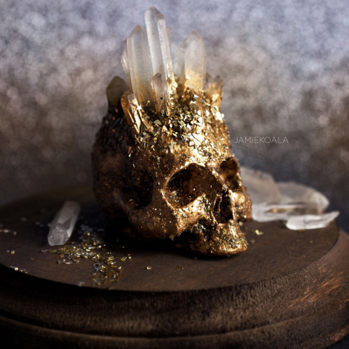 jamiekoala:Learning to sculpt has definitely been one of the highlights of the last few weeks; I hav