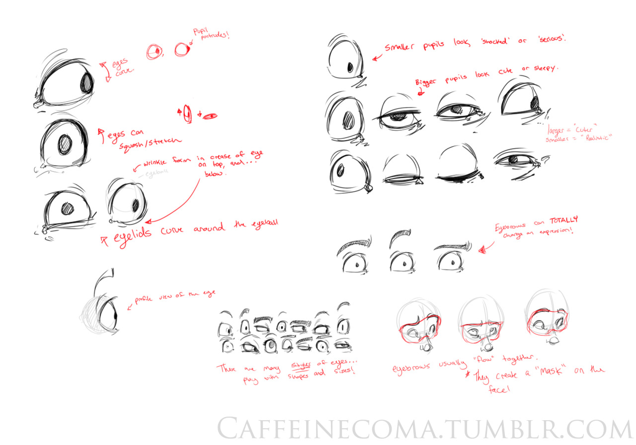 ♢The Art Blog♢ — Some notes on eyes! Here's me drawing this out, if...