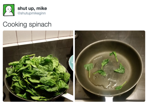 astrangertomykin:jewishgf:This is the meme content I like to seelet me tell u something chefs love m