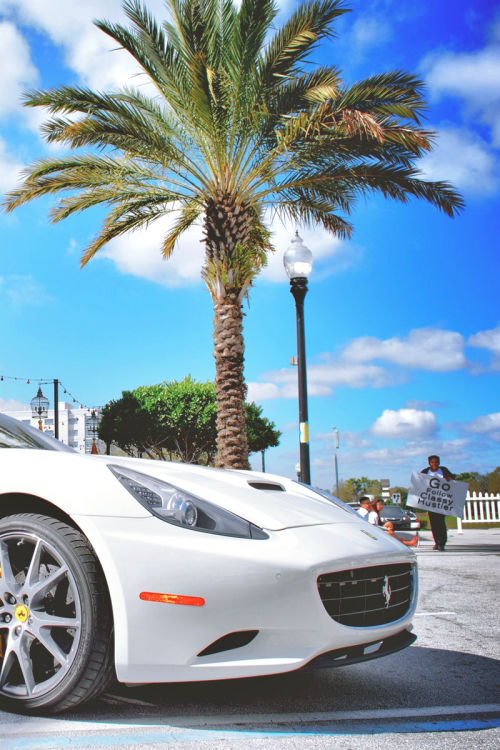 sweetripolar:  sweetripolar.tumblr.comPalmera & Cars - Perfect.   