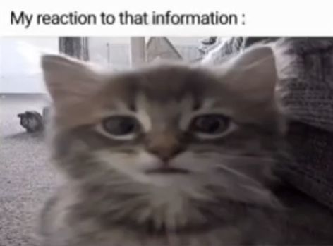 Me After Saying The Most FOUL Thing To A Gojo Bot On Char.ai And Then Getting Paranoid Thinking That