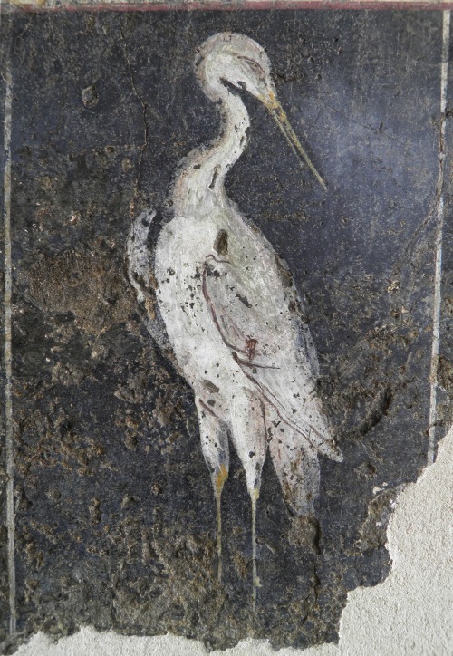 A stilt (water bird).  Fresco from the peristylum of a Roman villa in ancient Vienna = present-day V