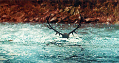  Hannibal » 2.01 Kaiseki 