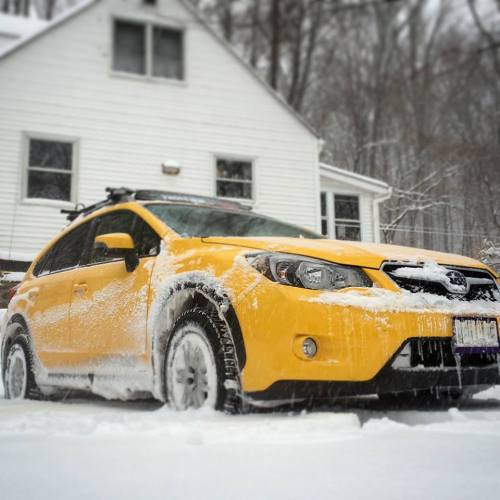 rugessubaru: yell-o