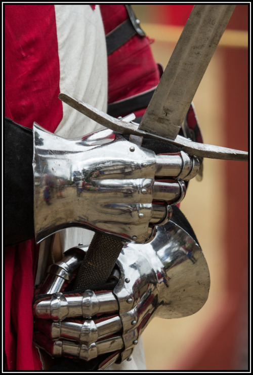 ritasv:Foot Soldier, 2015 World Invitational Jousting Festival, Upper Hutt,No.5 by Roger