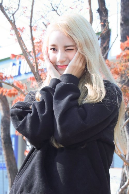 171118 Yeouido Fansign © Je m'appelle LOONA ♡ do not edit.