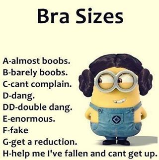 Missxstatic — Bra Sizes - #Memes/#memes, #Meme/#meme