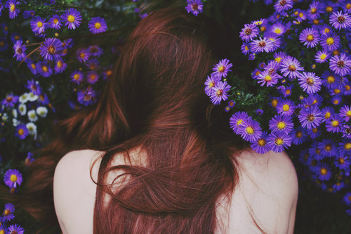 deadgirls:  利便を考慮したスーイサイド - bornbythesea:secret garden