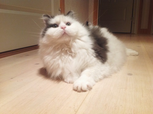 Whatcha looking at?