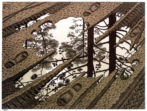 artist-mcescher: Puddle, 1952, M.C. Escher