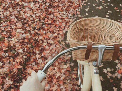 lhzthepoet:Make Me Choose: @cammilamacaulay asked Spring or Autumn Life starts all over again when i