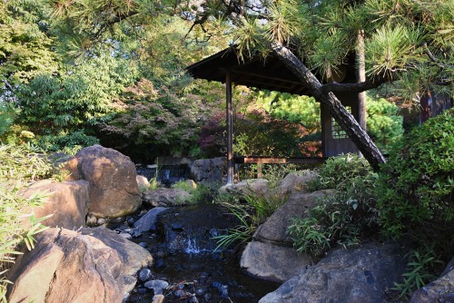 city-cost: When a game of bingo bags you a room upgrade to a lux, Japanese-style cottage at an onsen