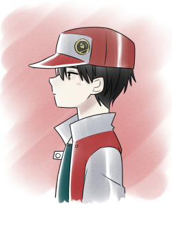 Shawms: Trainer Red