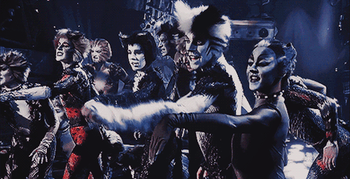 its-that-horrible-cat:And who would ever suppose thatThat was Grizabella, the glamor cat