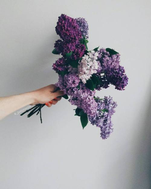 simply-divine-creation:Justyna Niko