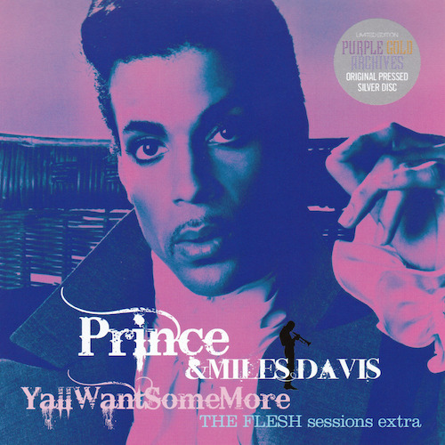 PrinceYa’ll Want Some More - The Flesh Sessions Extra28th December 1985 (”The Flesh” Studio Session 