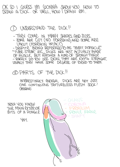 kinomatika:  I did a little tutorial on how to draw dicks because i see people not drawing dicks cor