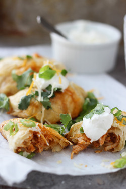 do-not-touch-my-food:  Chicken Enchilada Empanadas 