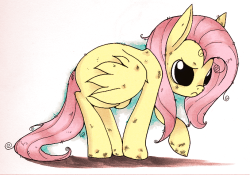 cappydarn:  angry shy  She’s even adorable