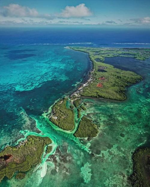 La hermosa Reserva de Sian Ka’an (en maya puerta del cielo). La gran variedad de fauna y flora captó