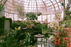 andantegrazioso:Chicago botanical garden |    	jamiepaul 	  	 						 			     