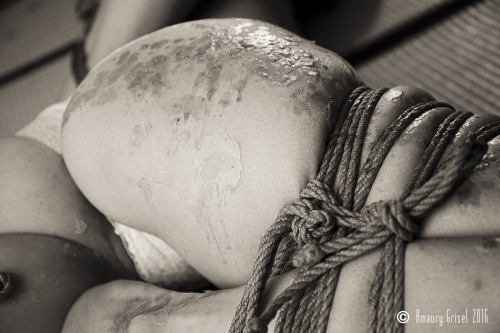 amaury-grisel-shibari:  Marion Ema & Diana Part 2 Ropes & Wax session @ la place des cordes  Shibari by May Dosem   photography : Amaury Grisel 